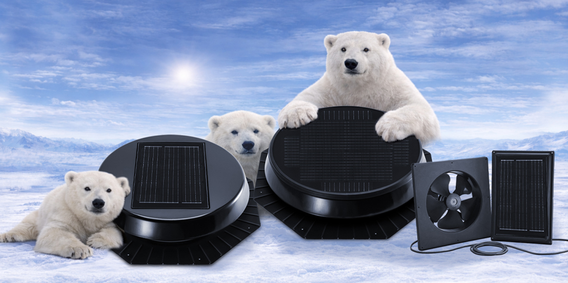 Polar bears around the solar attic fans